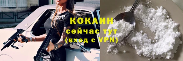 мдпв Дмитров