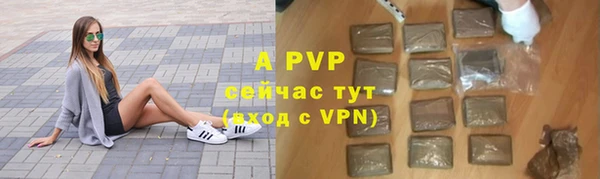 мдпв Дмитриев