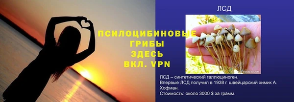 мдпв Дмитров
