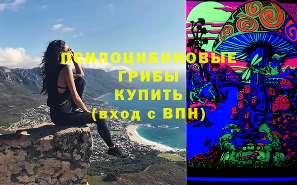 мдпв Дмитриев