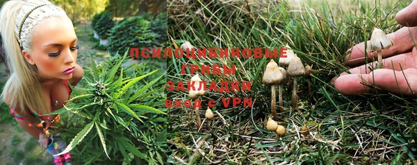 экстази Гусев